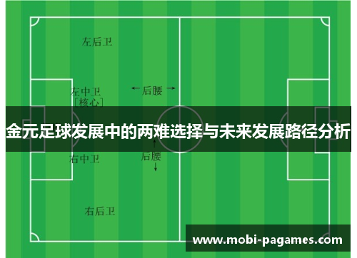 金元足球发展中的两难选择与未来发展路径分析