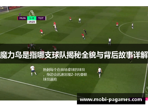 魔力鸟是指哪支球队揭秘全貌与背后故事详解