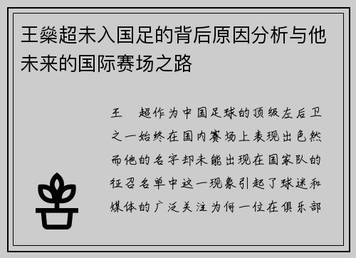 王燊超未入国足的背后原因分析与他未来的国际赛场之路