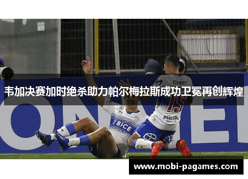 韦加决赛加时绝杀助力帕尔梅拉斯成功卫冕再创辉煌