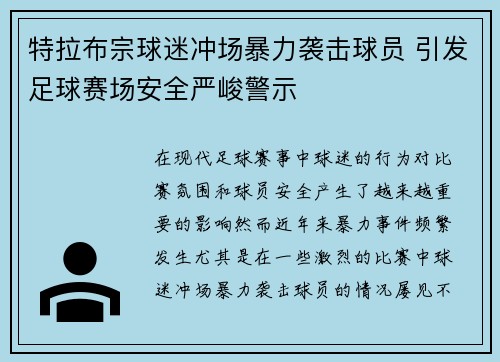 特拉布宗球迷冲场暴力袭击球员 引发足球赛场安全严峻警示
